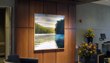 Stafford Medical Center